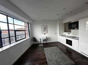 342 Stunning One Bedroom Studio Apartment